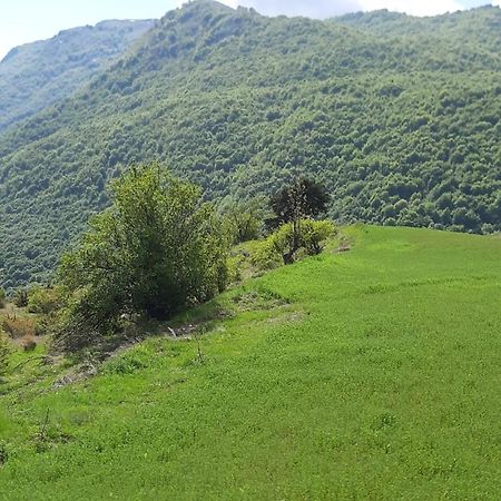 فندق Ujanikفي  Bujtina E Tomorrit المظهر الخارجي الصورة