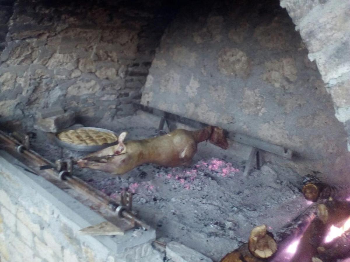 فندق Ujanikفي  Bujtina E Tomorrit المظهر الخارجي الصورة